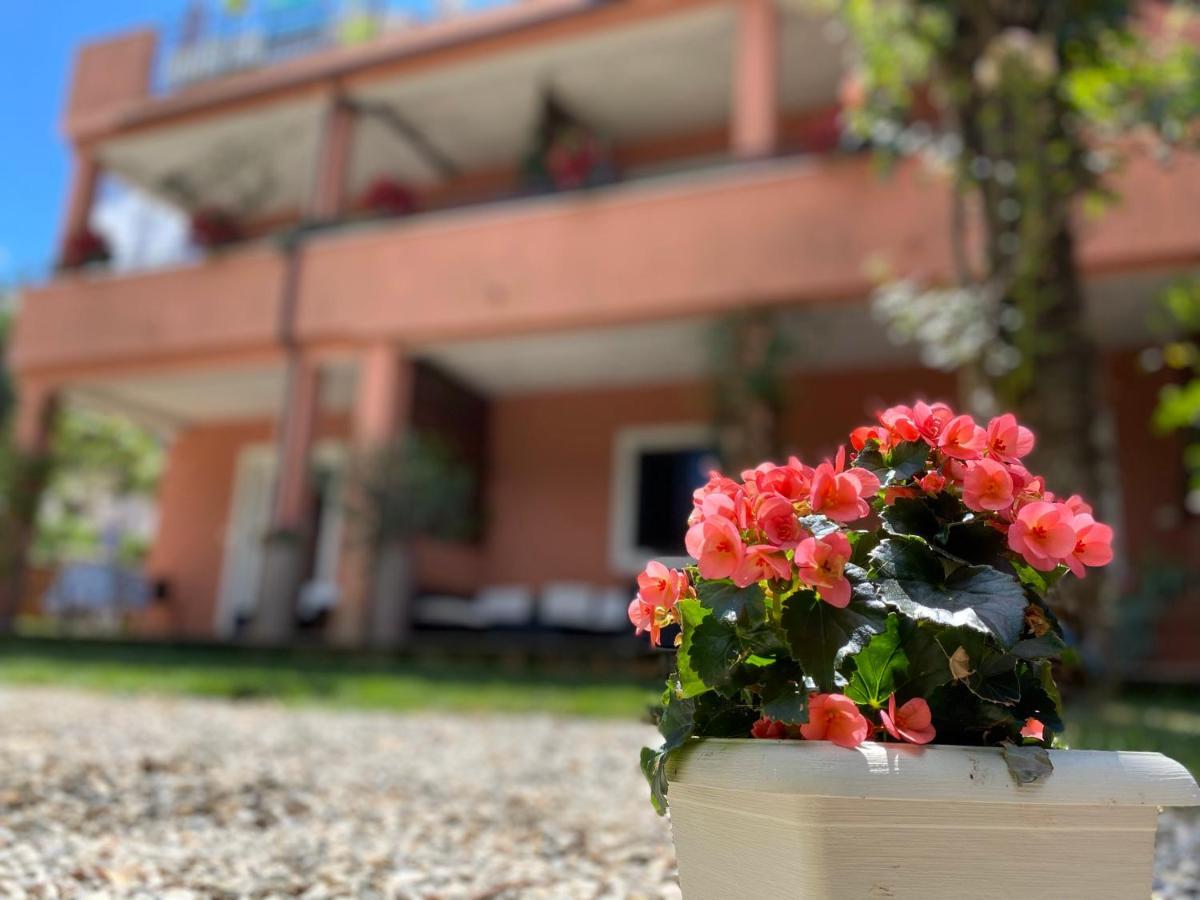 Apartments Tajana Novigrad Istria 외부 사진