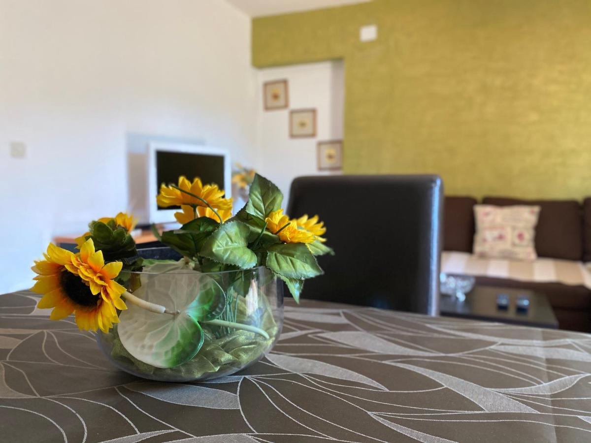 Apartments Tajana Novigrad Istria 외부 사진