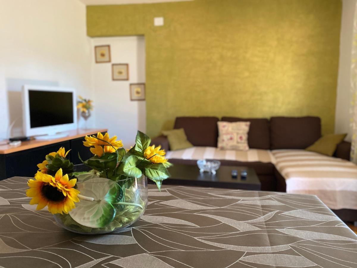 Apartments Tajana Novigrad Istria 외부 사진