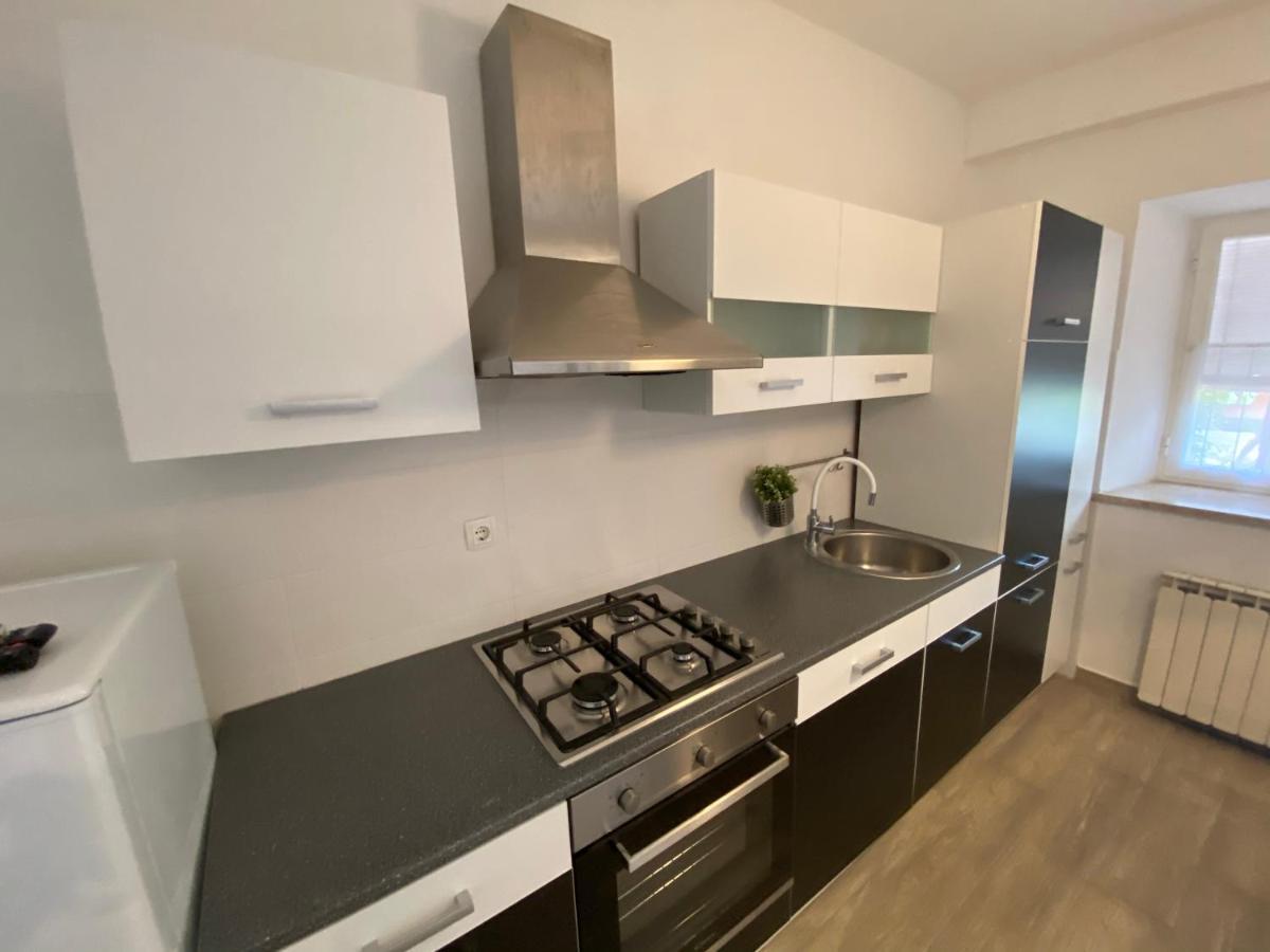Apartments Tajana Novigrad Istria 외부 사진