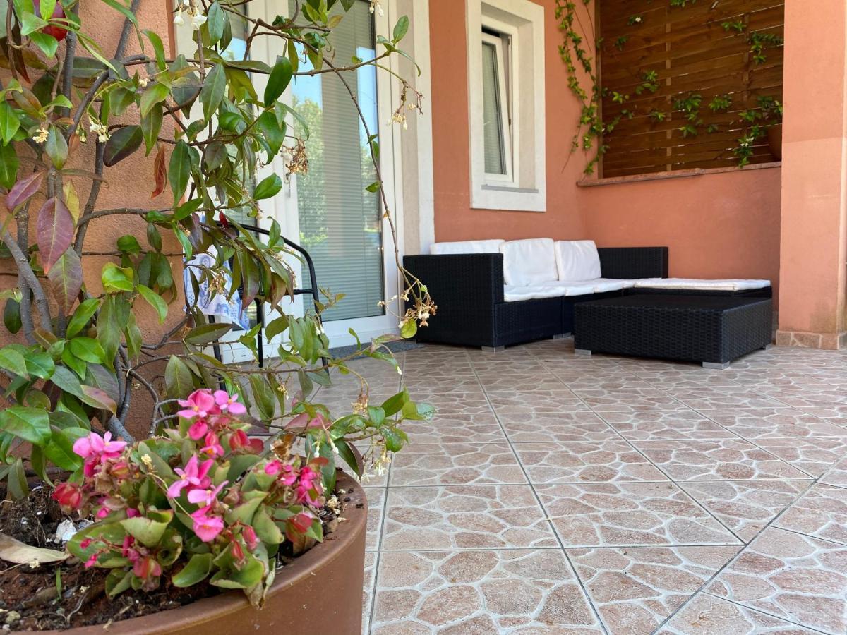 Apartments Tajana Novigrad Istria 외부 사진
