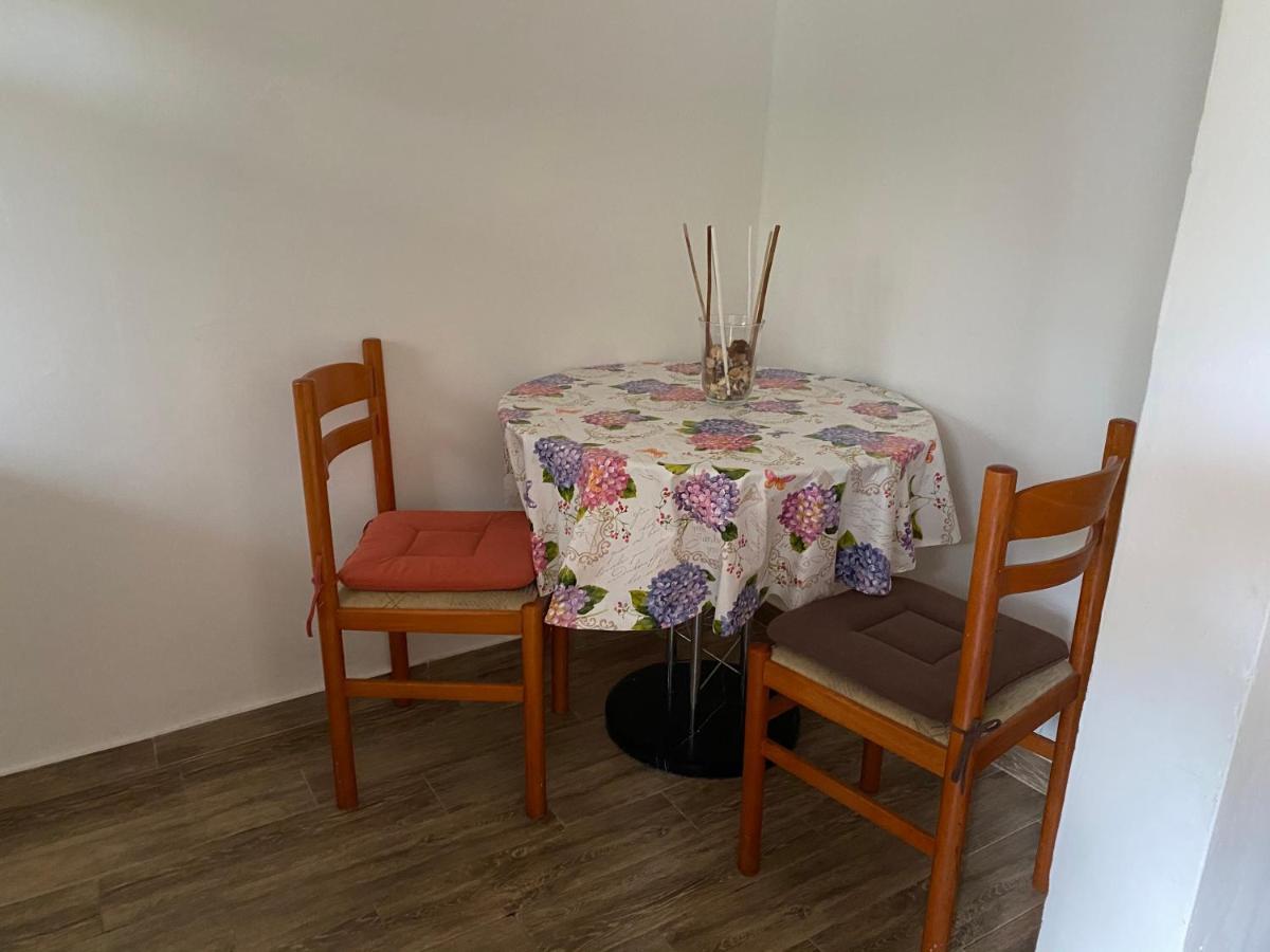 Apartments Tajana Novigrad Istria 외부 사진