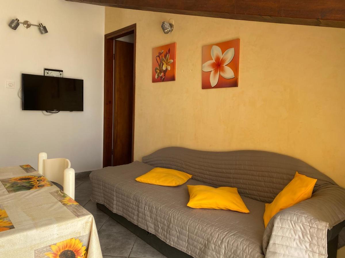 Apartments Tajana Novigrad Istria 외부 사진