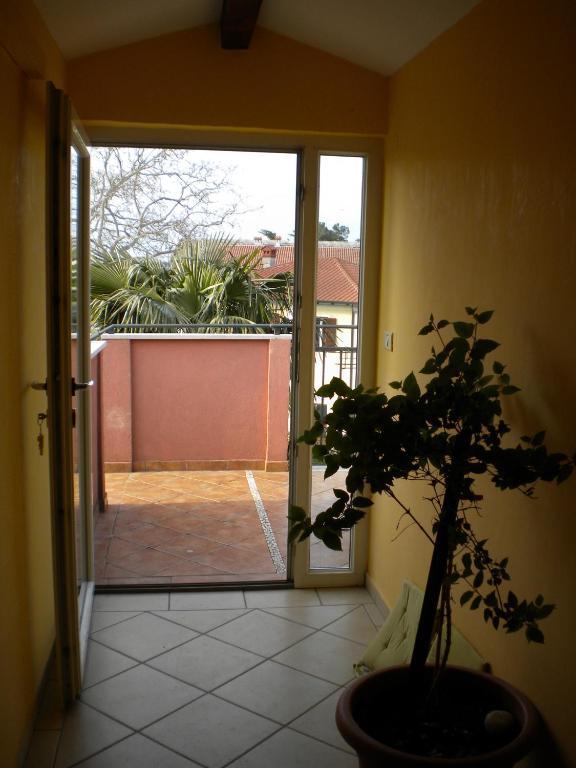 Apartments Tajana Novigrad Istria 객실 사진