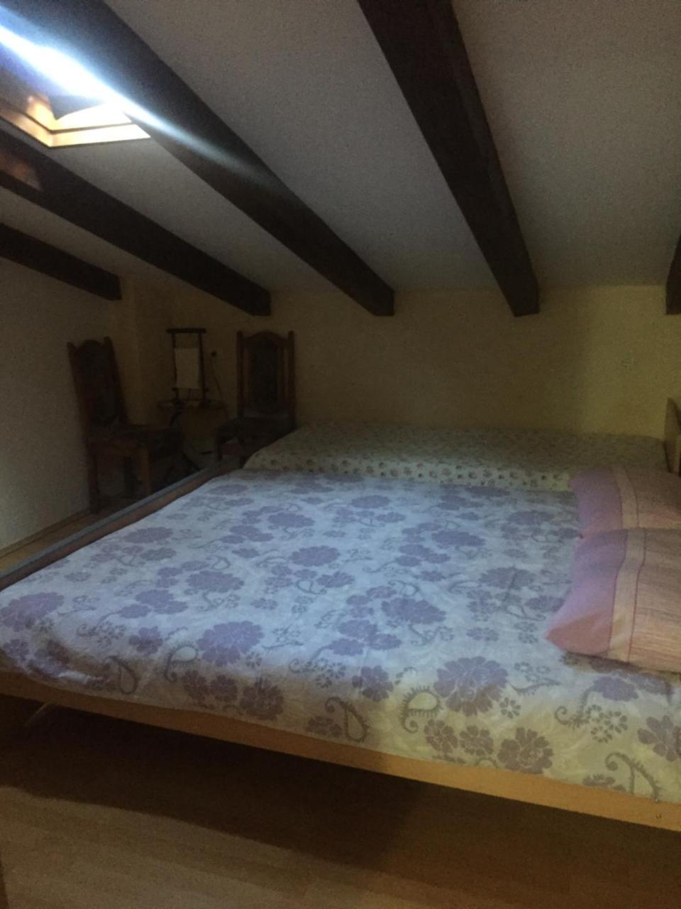 Apartments Tajana Novigrad Istria 외부 사진