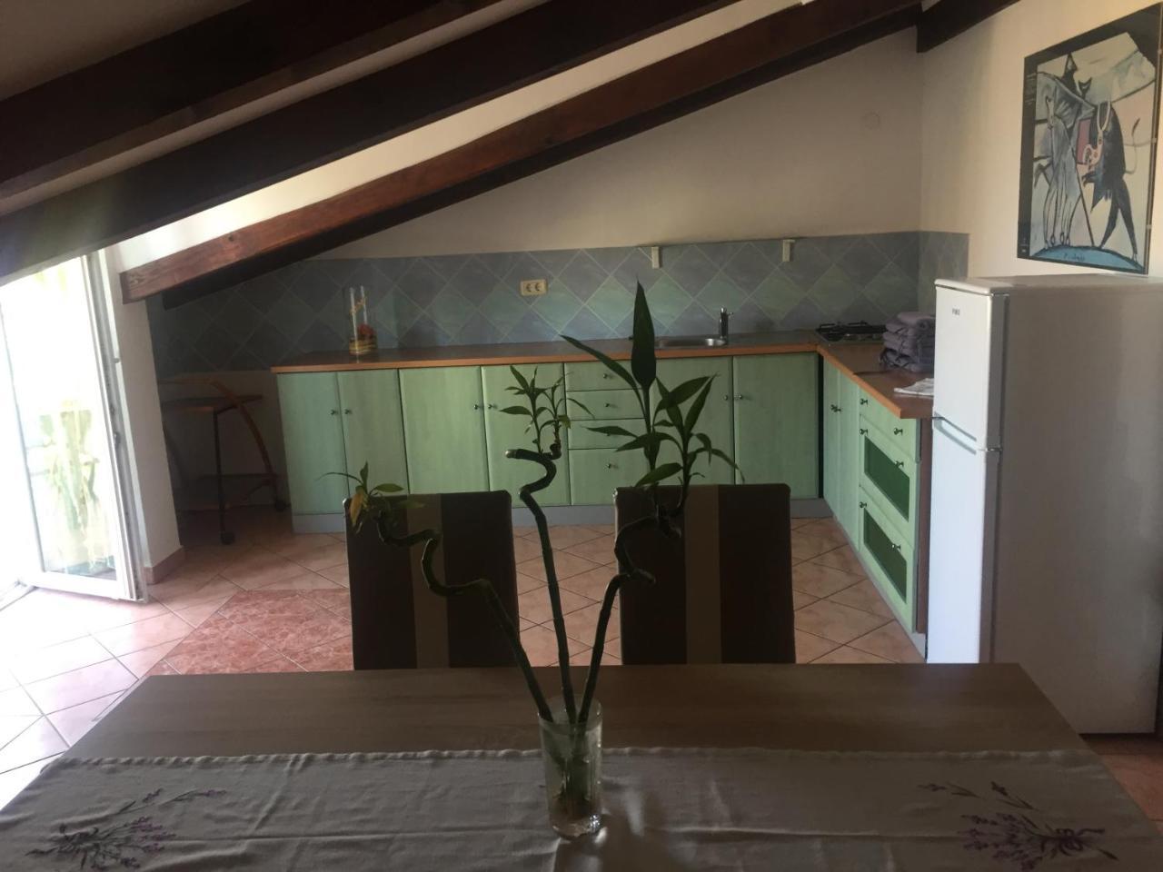 Apartments Tajana Novigrad Istria 외부 사진